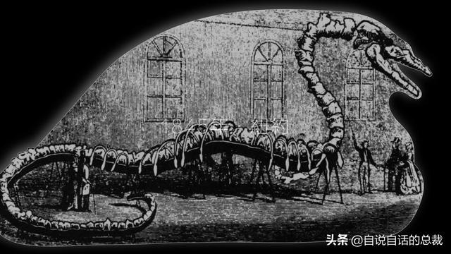 十大怪异鲨鱼，10000米长的蜈蚣（背后隐藏着一个人类起源的故事）