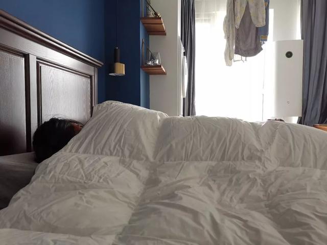 驼毛被子的优缺点，驼绒好还是羽绒被好_驼绒和羽绒被哪个好（五种常见材质被芯全方位对比）