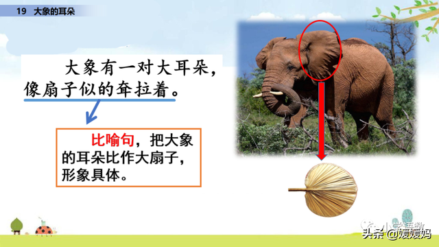 慢慢拼音怎么读，慢慢拼音（二年级下册语文课文19《大象的耳朵》图文详解及同步练习）
