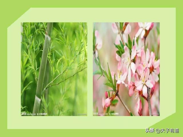 鸯字怎么组词，鸯字怎么组词三年级（部编版语文三年级下册第一单元汇总）