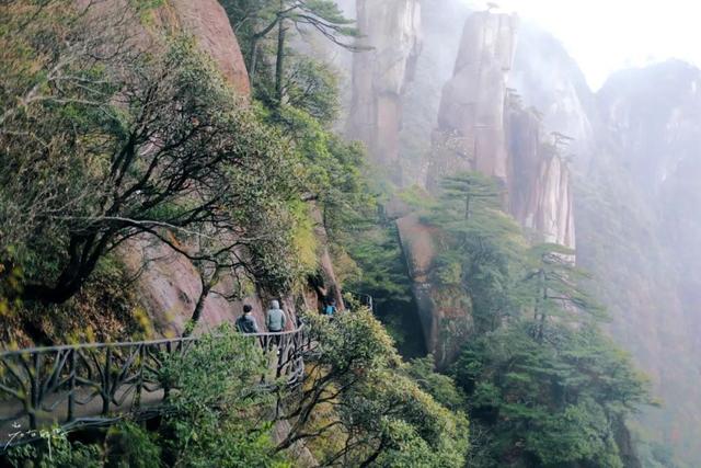 江西三清山风景区，三清山是几A级风景区（小雨初歇的江西三清山）