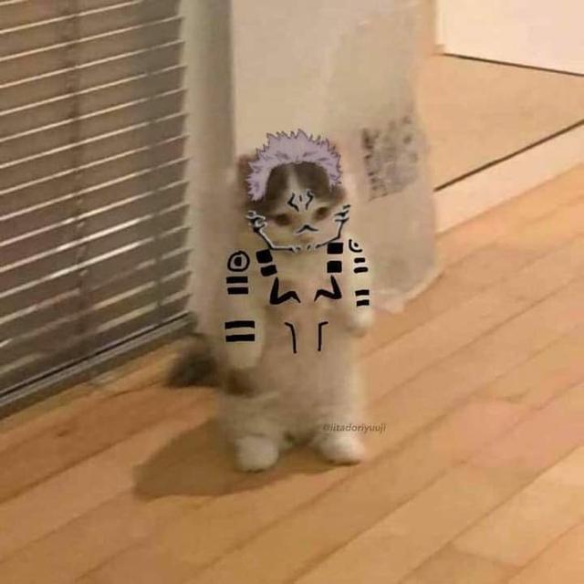 加菲猫图片卡通，一组加菲猫头像‖成年人也只是过期了的小盆友呀.微信（橘猫形态两面宿傩）