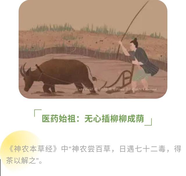 神农氏的故事，神农氏的故事全文（神农氏不为人知的故事）