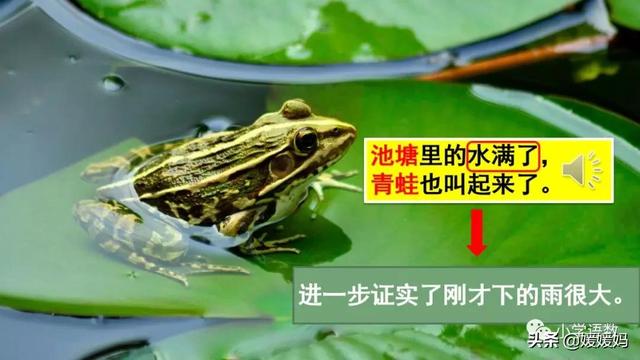 形容闪电的词语，描写闪电的四字词语（二年级下册语文课文16《雷雨》图文详解及同步练习）