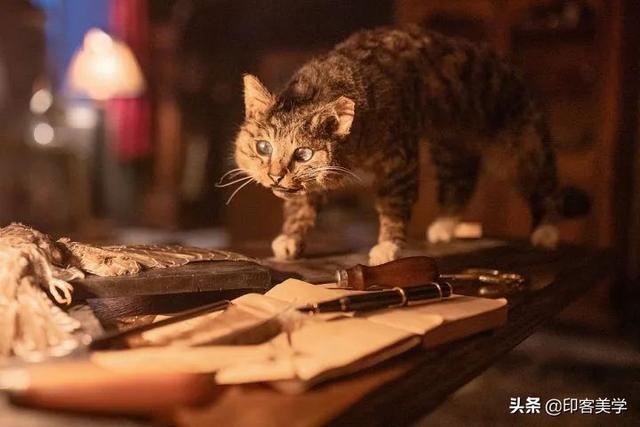 手不释卷的动物，手足之情的动物是什么生肖（世传王安石是獾转世投胎）