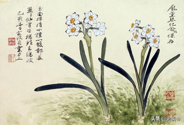 描写水仙花的优美句子，描写水仙花的作文（黄庭坚《次韵中玉水仙花》）