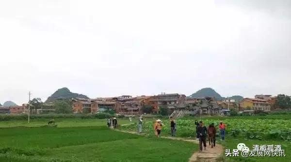 云南普者黑旅游攻略，云南省普者黑风景区旅游攻略（一处鲜为人知的神秘旅游景点——普者黑攻略）