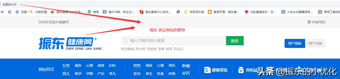 域名解析记录类型怎么填（解析域名记录值怎么填）