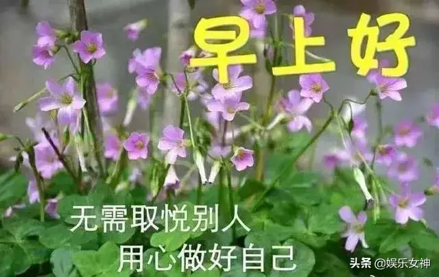 沧海桑田下一句是什么，沧海桑田是什么意思（自然安稳；随缘自在）