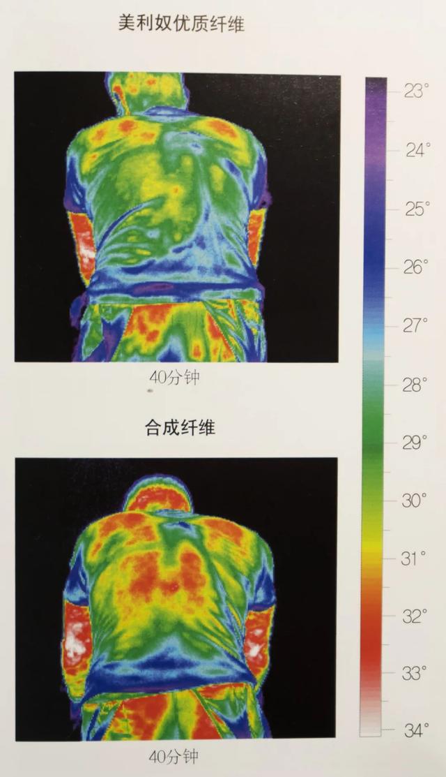 羊毛布料的优点光与夜之歌，羊毛布料的优点有哪些（羊毛为何深受人类喜爱）