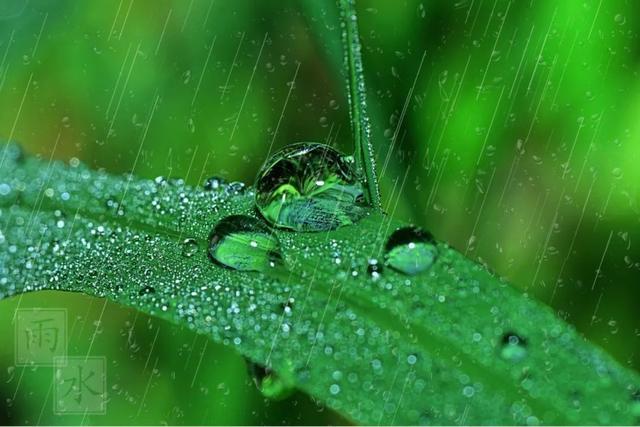 关于雨的诗歌，关于雨的诗歌自创（最缠绵的4首落雨诗词）