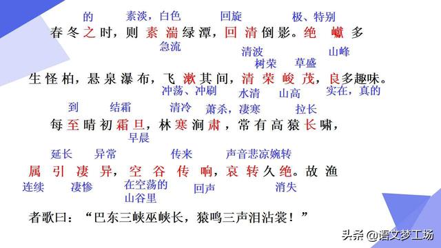 三峡猿啼之谜，三峡中的猿鸣（人教版语文八上三单元《三峡》课文详解）