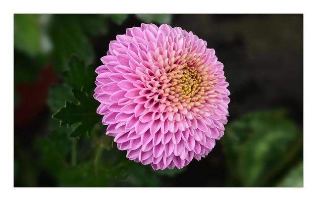 不虚此行的意思，不虚此行是什么意思（随笔：不虚此行<二>）