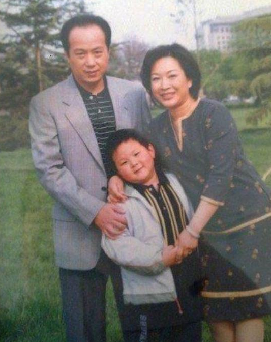 罗京去世12年，罗京百度百科（罗京的贤内助妻子：丈夫去世后）