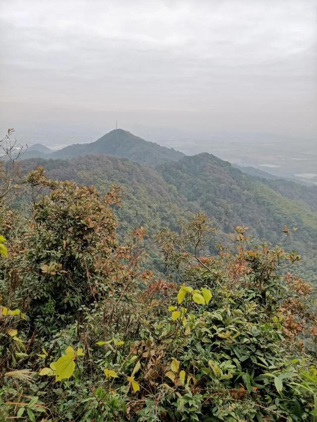 每天坚持爬山的好处，每天坚持爬山对身体好不好（经常爬山会给你带来什么样的变化）