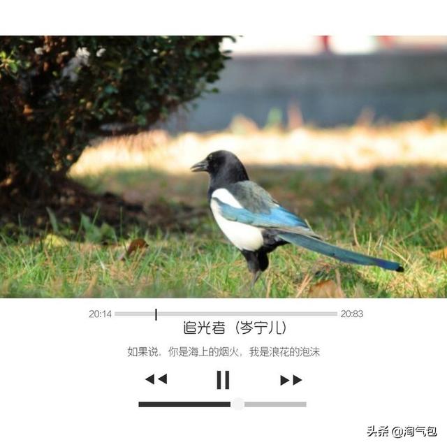 12个月都有什么情人节，二月没过情人节的今天补上