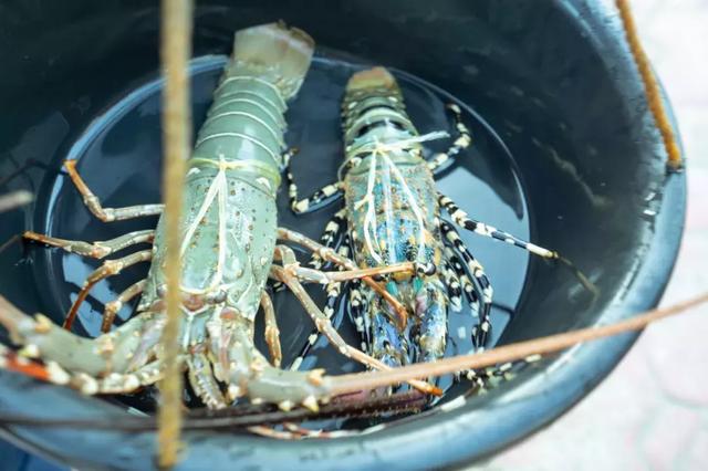 仙本那是哪个国家，仙本那 民族（这里有份攻略请收藏）