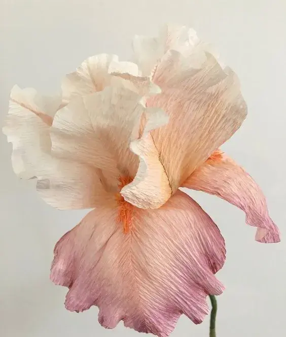 手工花朵制作方法，彩纸手工制作花朵的方法（喜欢花哪儿还用买）