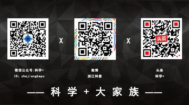 中国的国鸟是什么鸟，中国的国鸟是什么动物（绝大多数的人都不知道）