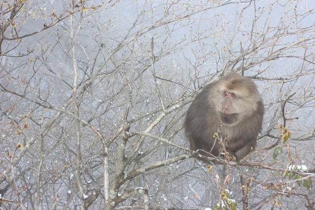 黄山温泉度假酒店，哪个地方温泉度假村比较好玩（不可错过的宝藏级奇景）