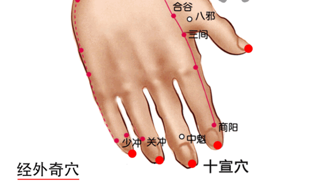 鱼腰的准确位置和作用，个个都是穴位学中的高手