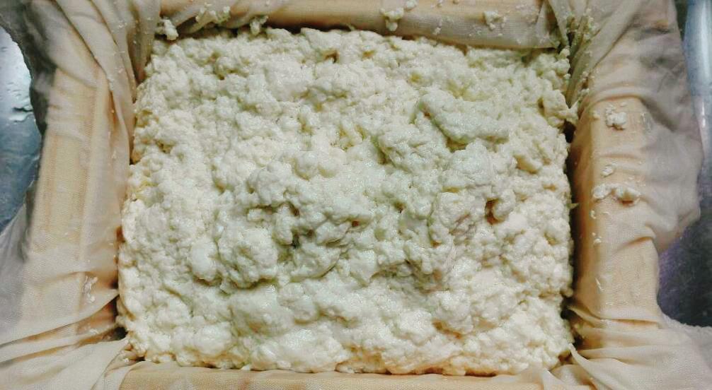 图片[8]-自制豆腐步骤图 比例和配方告诉你 简单-起舞食谱网