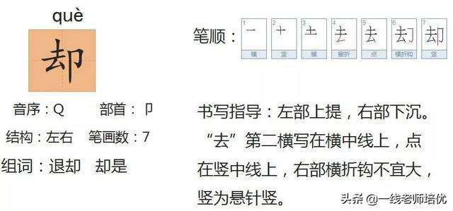 号加鸟怎么读，】部编版二年级语文上册