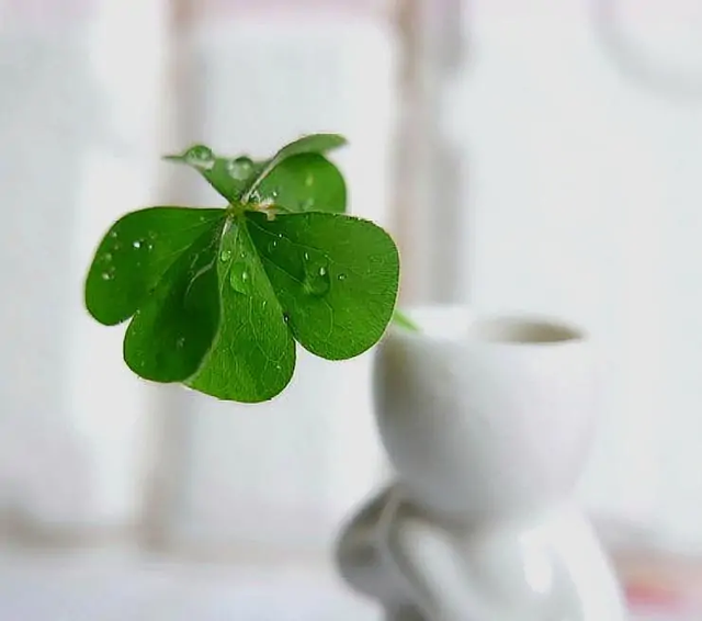 不识趣什么意思，不识趣的动物是什么数字动物（否则就是不识趣）