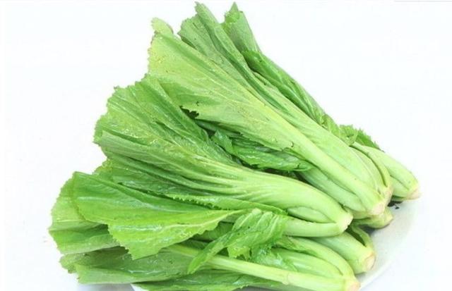 头伏萝卜二伏菜，头伏二伏分别种什么菜（“头伏萝卜二伏菜”）