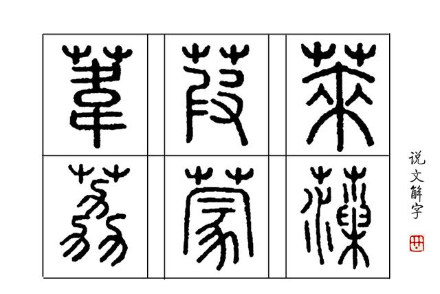 琯什么意思解释，琯字笔画笔顺（如何准确理解“蒹葭苍苍”）
