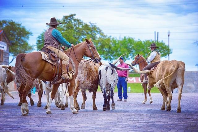 美国德克萨斯州，美国德克萨斯州位于美国什么地方（美国第二大州——民风彪悍的德克萨斯到底是怎样的存在）