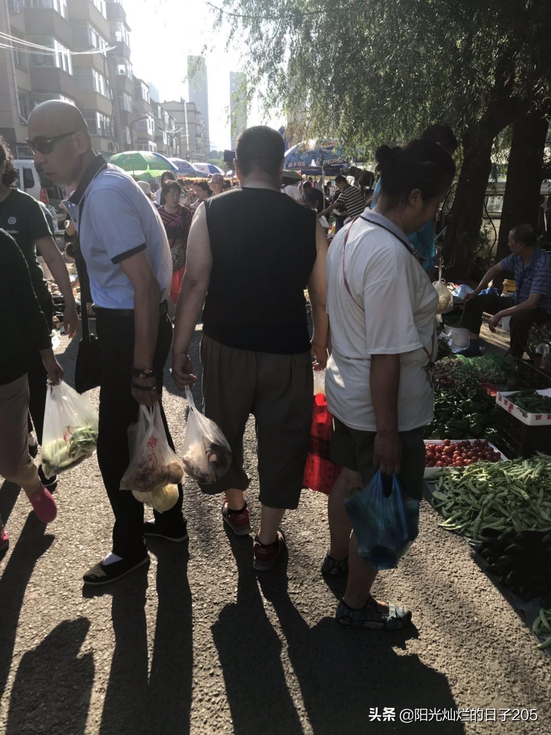 上北阳光灿烂的日子，阳光灿烂的日子里全集播放（屯粮积草开始了）