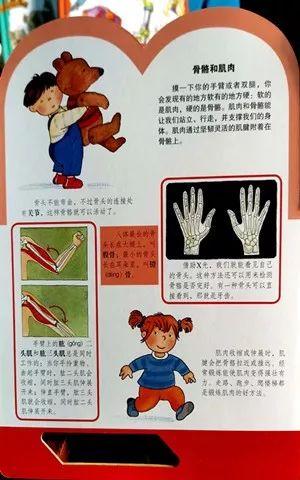 如何画一部简单的电话机，画电话的简单画法图（这套儿童科普读物把骨头画成钢铁侠）