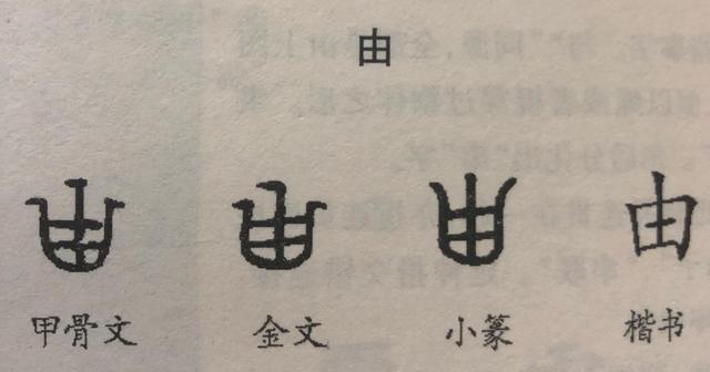 愚民政策谁提出的，正确理解老子的“愚民”思想