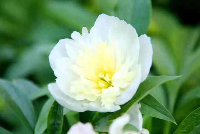 男人拖着不分手的原因，男人冷淡拖着不提分手（为什么男人不爱你）