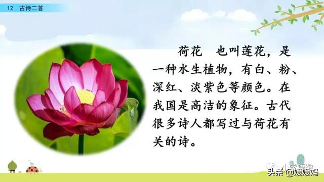 四时田园杂兴的诗意,《四时田园杂兴》的诗意是什么(一年级下册语文课文12《古诗二首》图文详解及同步练习) 四时田园杂兴的诗意,《四时田园杂兴》的诗意是什么(一年级下册语文课文12《古诗二首》图文详解及同步练习)