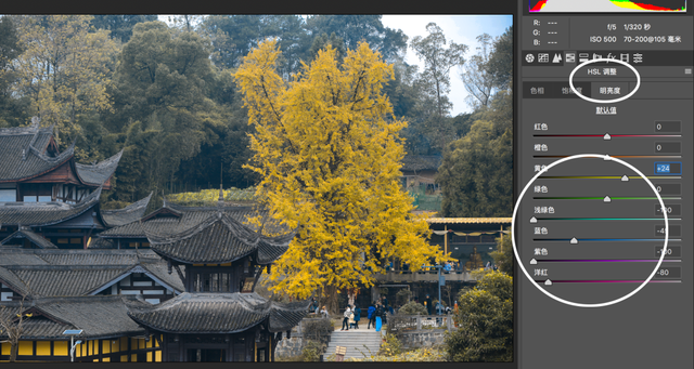 ps滤镜camera raw在哪，ps滤镜camera（如何拯救“灰姑娘”照片）