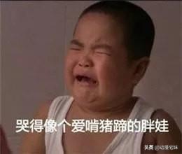 tatan为什么走红，tatan是怎么火的（是碰到这些刁钻难缠的熊娃表情包）