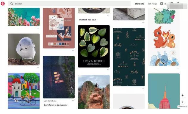 堆糖网官网网页版，堆糖网官网（新手怎么找画画网站）