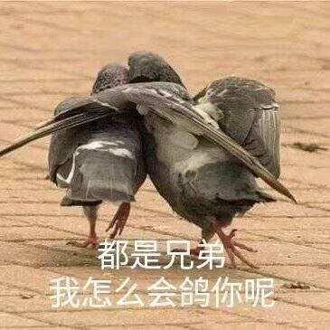 DOTA2已经沦落到如此地步，新玩法居然要学习已经凉的风暴英雄？
