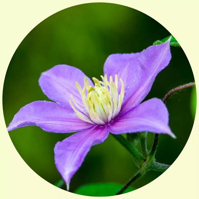 风景照片图片大全，微信头像，风景照片图片大全（令人心旷神怡的美景）