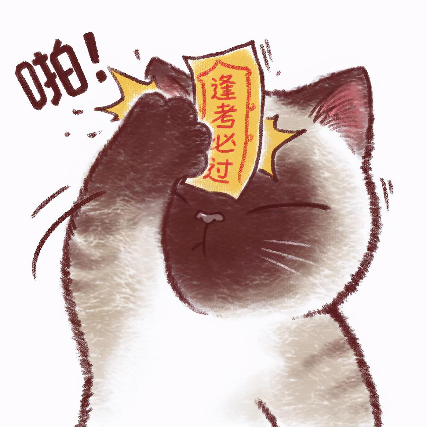 考试,所以还是要祝福大家逢考必过的,所以就有这只可爱的不知道怎么