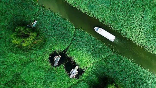 微山湖有哪些景区值得去玩，微山湖哪个景区最值得去（坐拥130000亩荷塘）