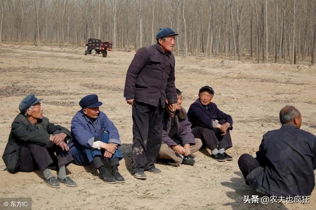 五九是什么意思，五九是什么日子（农村俗语：春打五九尾）