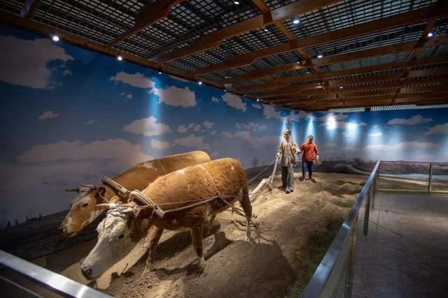 义渠国是现在的哪里，秦灭义渠国是现在的哪里（战国时期一个被忽视的强大国家）