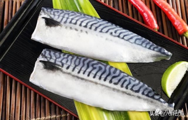 马鲛鱼有几种，马鲛鱼是什么鱼种（鲐鱼、鲅鱼、挪威青花鱼）