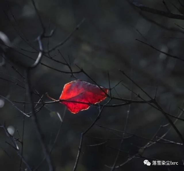 复古文艺小清新图片  浮生若梦 为欢几何，文艺复古小清新图片唯美（浮生若梦，为欢几何）