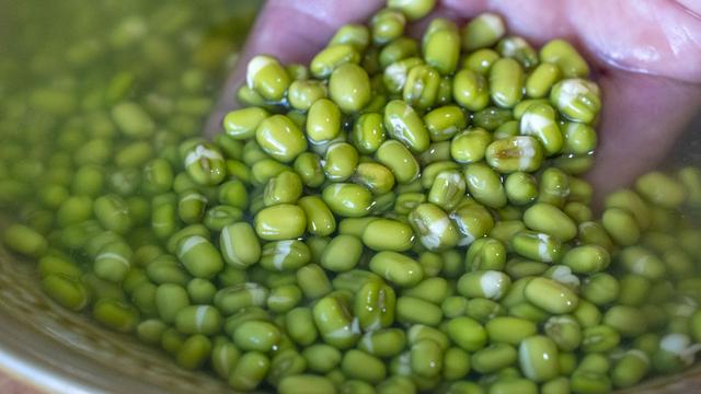 豆芽炒多久能熟，炒豆芽做法（在家发豆芽原来这么简单）