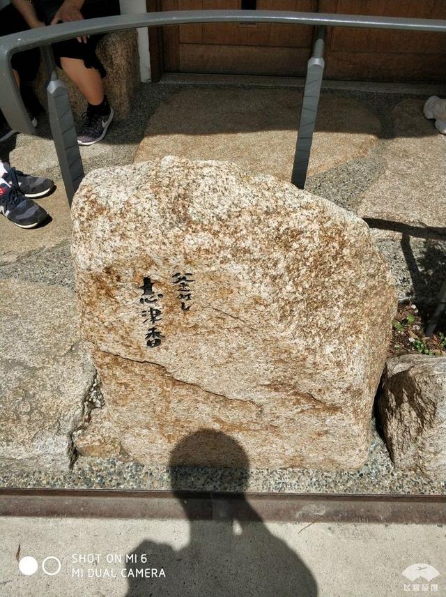 国航最高级别什么卡，国航白金卡什么级别（经济舱也能享受贵宾室、提前选座等权益）