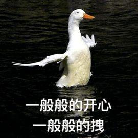 duck是什么意思，bread是什么意思（dog是什么意思）
